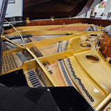 Schimmel K213 DE