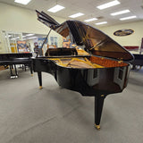 Schimmel K213 DE