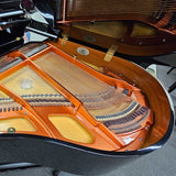 Nordiska Model D