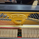 Schimmel Classic P - 349.610