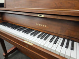 Yamaha P22