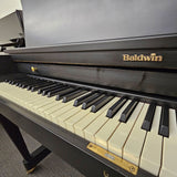 Baldwin Hamilton Studio