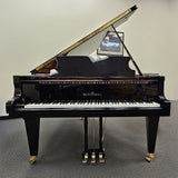 Schimmel CC