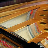 Ritmuller Concert Grand