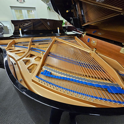 K. Kawai KG-2D