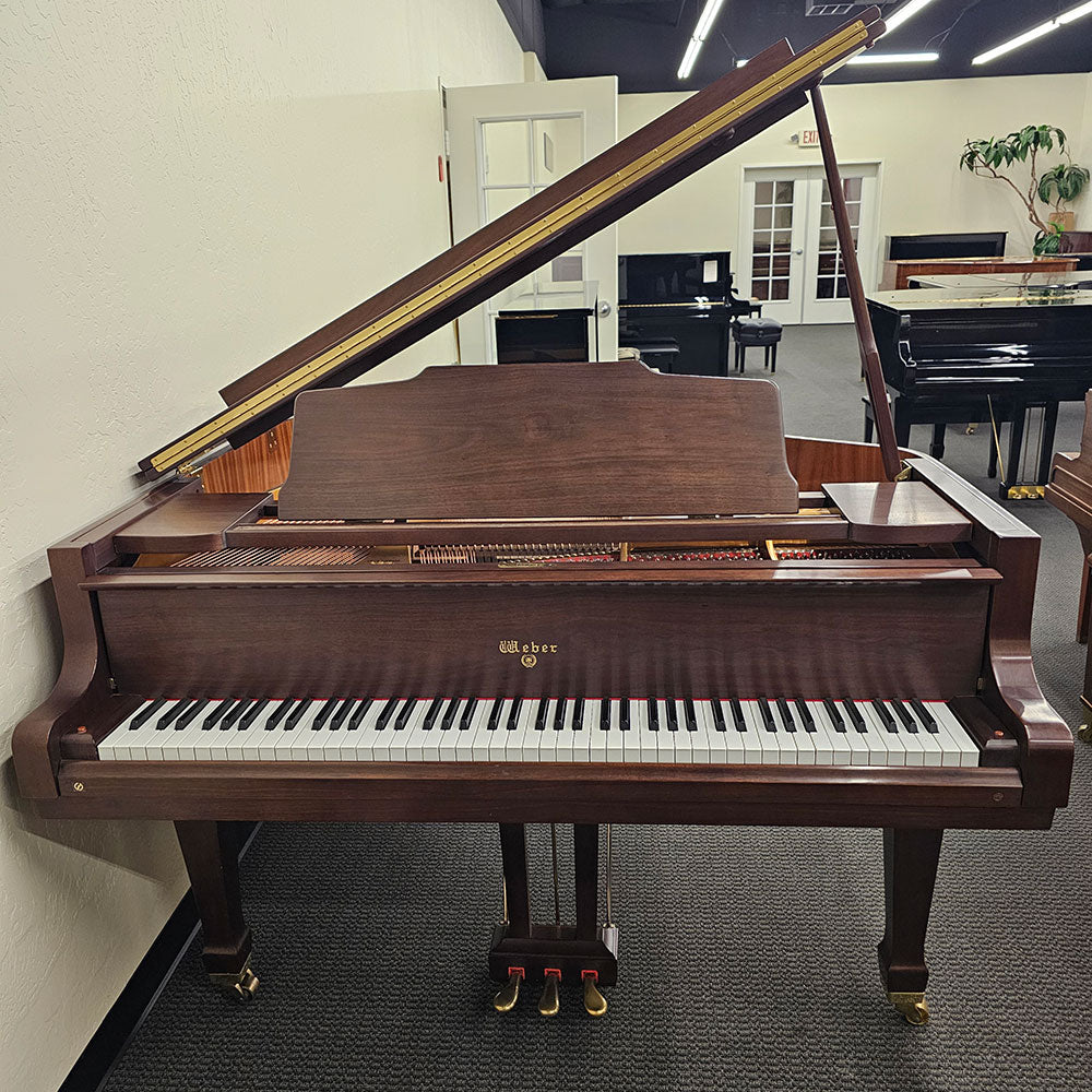 Weber WG-50
