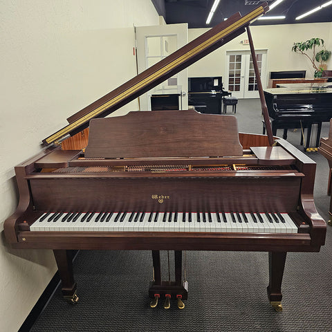 Weber WG-50