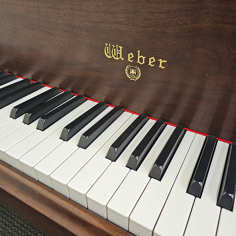 Weber WG-50