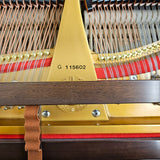 Weber WG-50