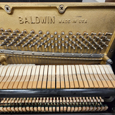 Baldwin Hamilton