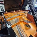 K. Kawai GX-6