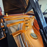 K. Kawai GX-5