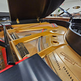 Wurlitzer C173