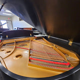 Wurlitzer C173