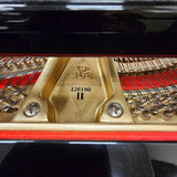 Boston GP193