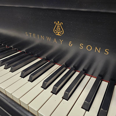 Steinway & Sons Model B