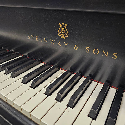Steinway & Sons Model B
