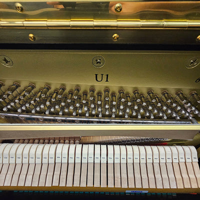 Yamaha U1