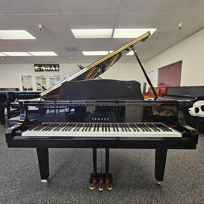 Yamaha GB1