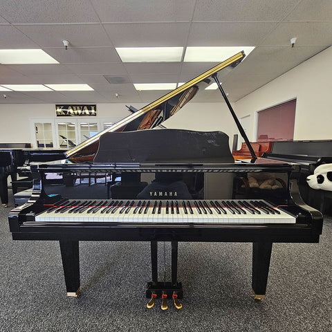 Yamaha GB1