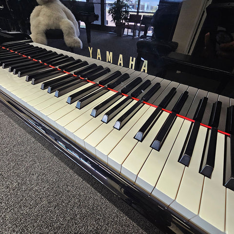 Yamaha GB1