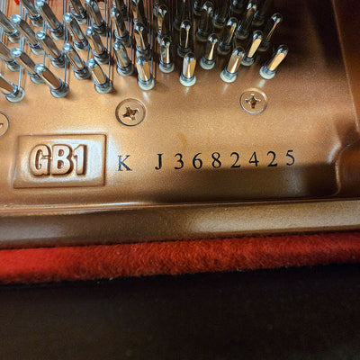 Yamaha GB1