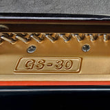 K. Kawai GS-30