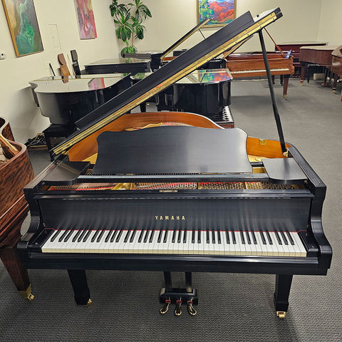 Yamaha G2