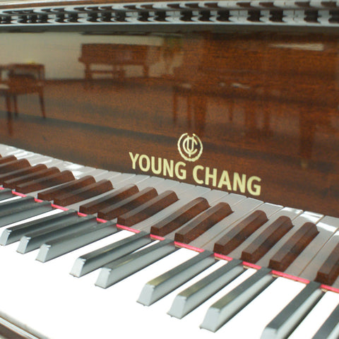 Young Chang Y-150